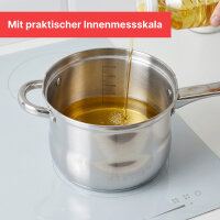 Frittiertopf 3,5 L Edelstahl Fritteuse mit Frittierkorb und Glasdeckel Pommestopf für alle Herdarten inkl. Induktion