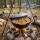 Premium Gusseisen Kazan 15L Schwenktopf Plov mit Bügel und Gusseisendeckel - Traditioneller Gusstopf Kasan Grillwok preseasoned bereits eingebrannt Schmortopf mit Pfannenwender und Grillhandschuhe