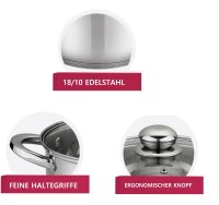 Frittiertopf 6,5 L Edelstahl Glasdeckel Induktion Friteuse Pommestopf Fritöse