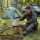 Hobokocher Hobo Ofen aus Edelstahl zerlegbar Campingkocher mit Grillfächer