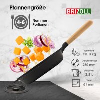 Gusseisen Pfanne Ø28 cm BRIZOLL Schmorpfanne...